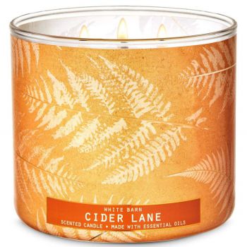 Nến thơm White Barn Cider Lane, 411g, 3 bấc