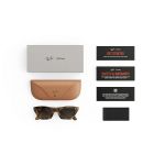 Kính thông minh Ray-Ban Meta Gen 3 Zena (Havana Frame/Gradient Brown Lenses)